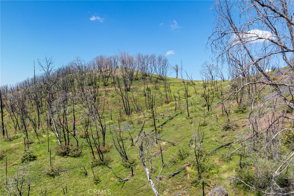 39 Acres Buckingham Mountain Road Property Photo 32