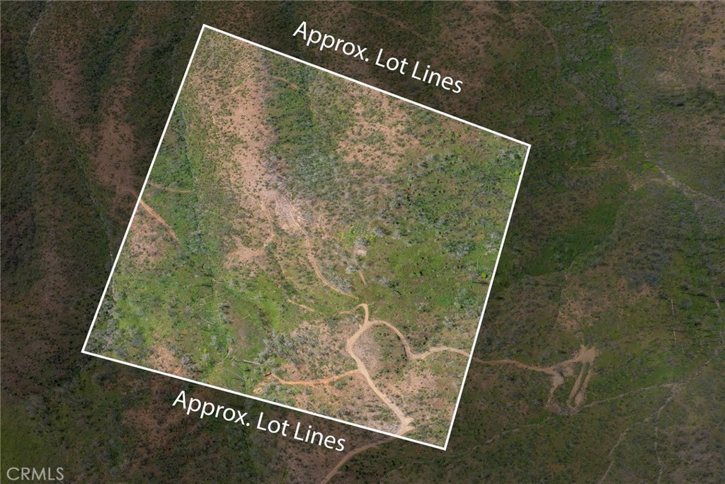 39 Acres Buckingham Mountain Road Property Photo 33