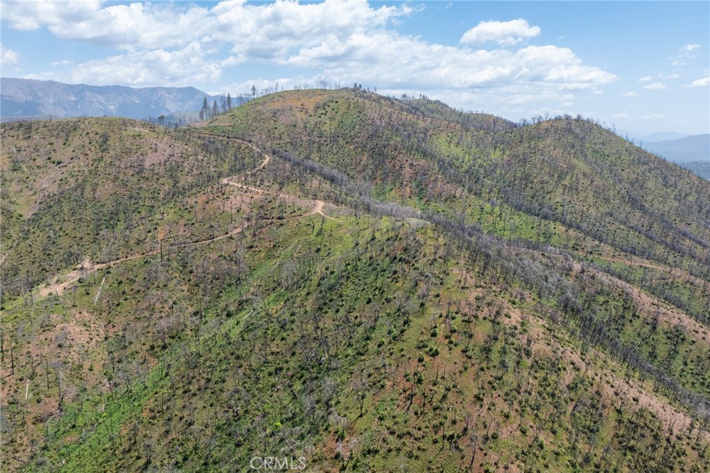 39 Acres Buckingham Mountain Road Property Photo 35