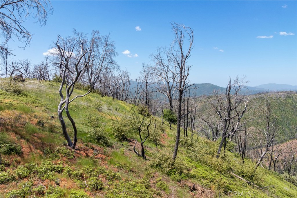 39 Acres Buckingham Mountain Road Property Photo 37