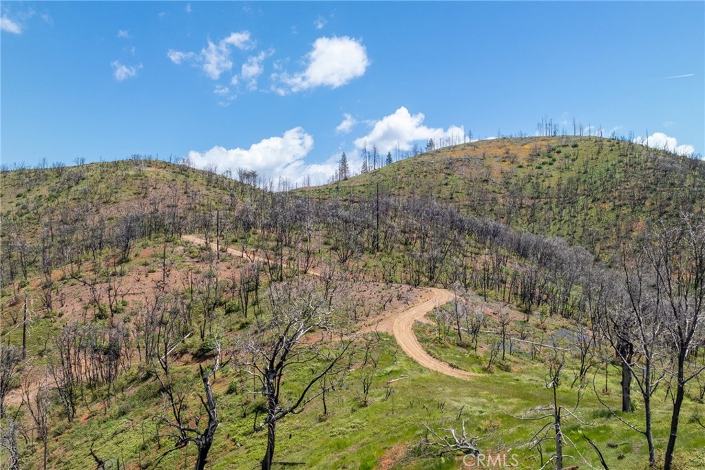 39 Acres Buckingham Mountain Road Property Photo 39
