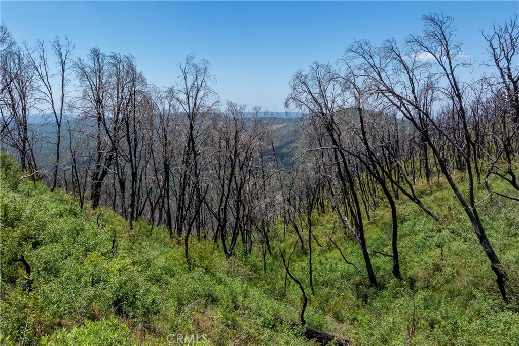 39 Acres Buckingham Mountain Road Property Photo 42