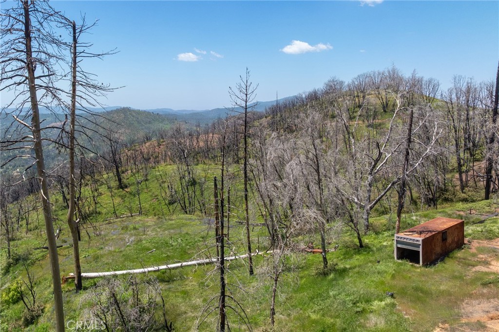 39 Acres Buckingham Mountain Road Property Photo 43