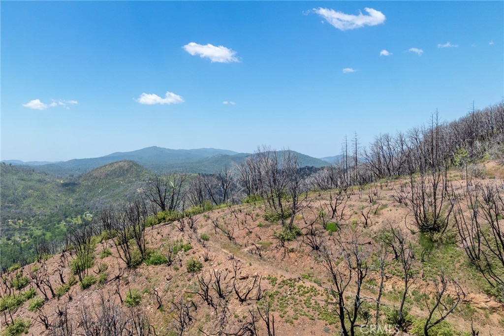 39 Acres Buckingham Mountain Road Property Photo 44