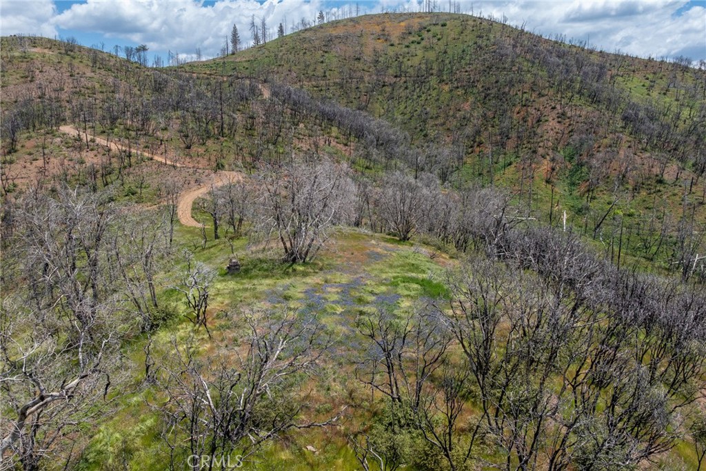 39 Acres Buckingham Mountain Road Property Photo 45