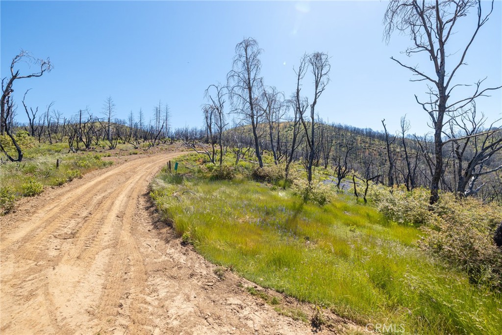 39 Acres Buckingham Mountain Road Property Photo 47