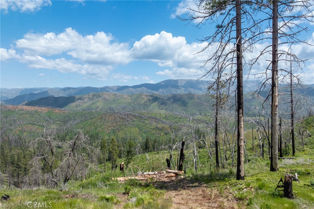 39 Acres Buckingham Mountain Road Property Photo 48