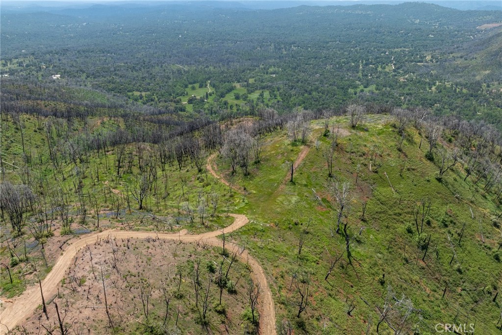 39 Acres Buckingham Mountain Road Property Photo 49