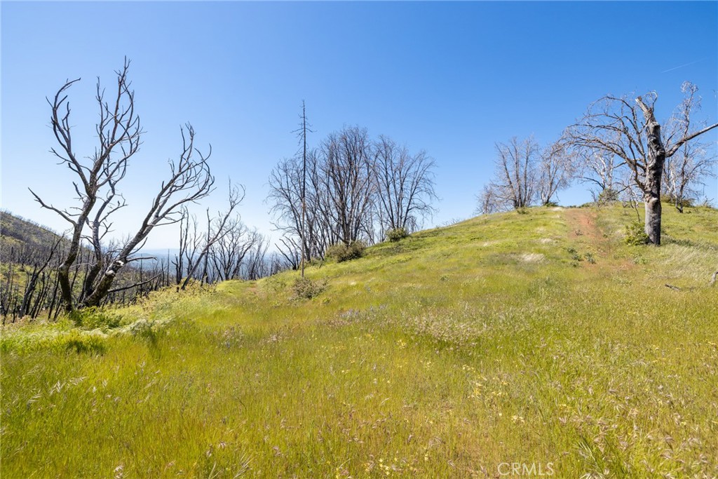 39 Acres Buckingham Mountain Road Property Photo 50