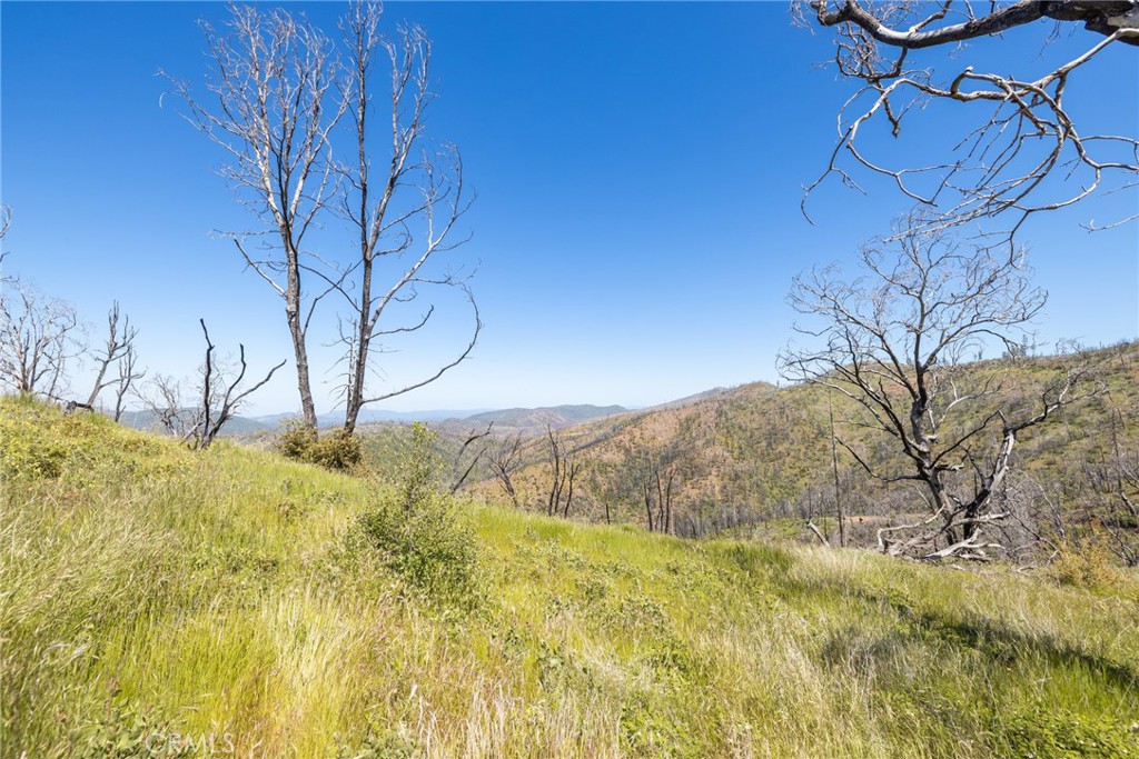 39 Acres Buckingham Mountain Road Property Photo 52