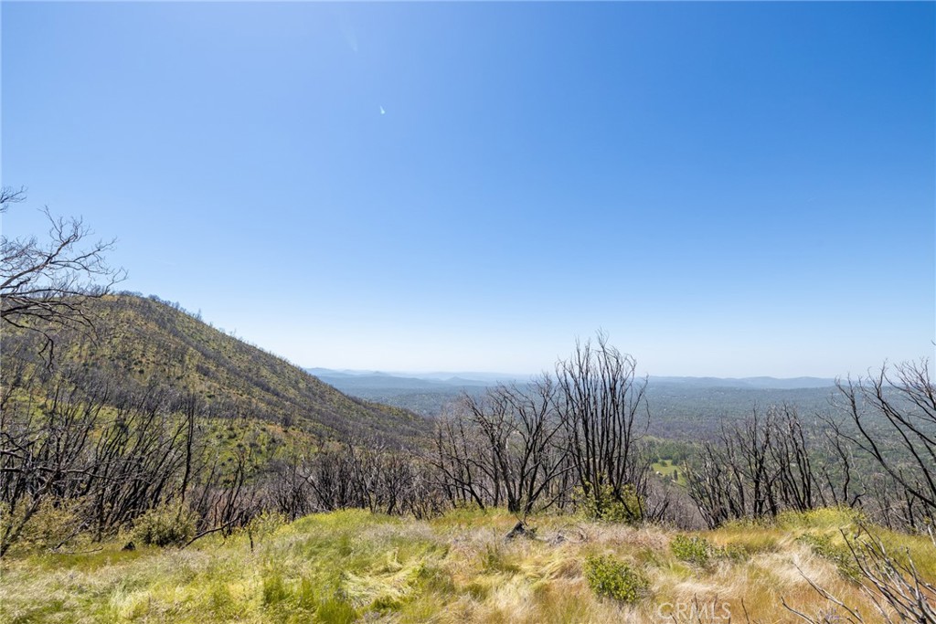 39 Acres Buckingham Mountain Road Property Photo 54