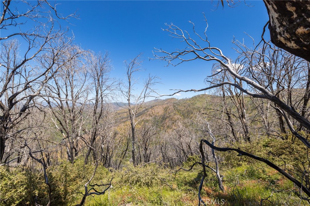 39 Acres Buckingham Mountain Road Property Photo 55