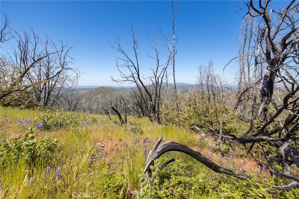 39 Acres Buckingham Mountain Road Property Photo 57