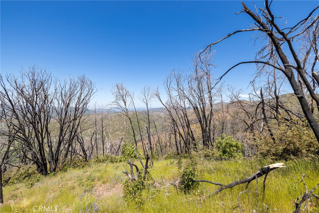 39 Acres Buckingham Mountain Road Property Photo 59