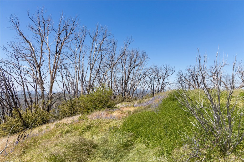 39 Acres Buckingham Mountain Road Property Photo 61