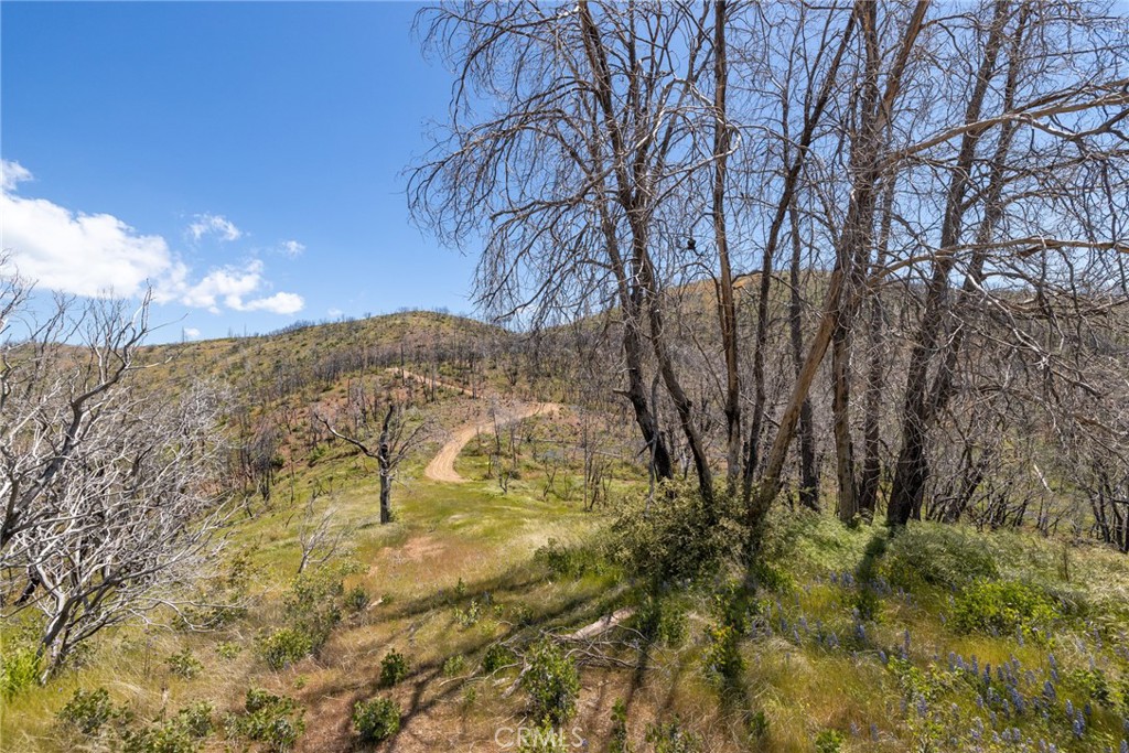 39 Acres Buckingham Mountain Road Property Photo 62