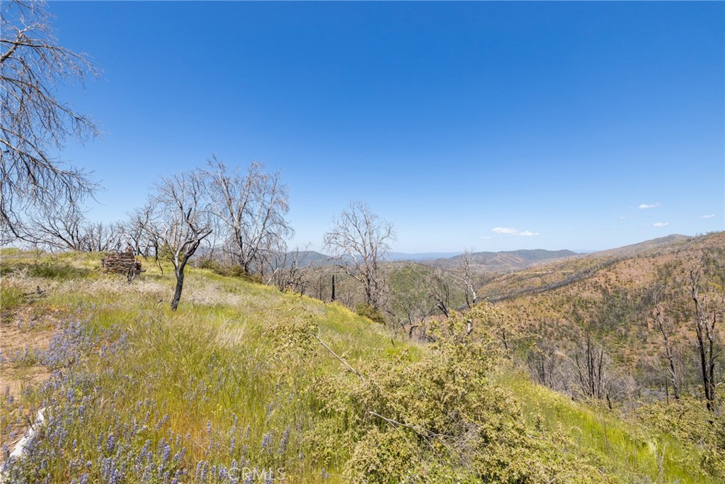 39 Acres Buckingham Mountain Road Property Photo 63