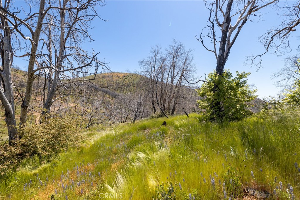 39 Acres Buckingham Mountain Road Property Photo 64