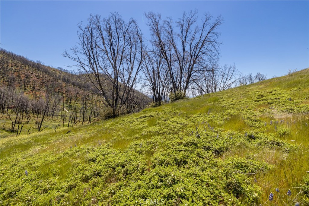 39 Acres Buckingham Mountain Road Property Photo 65