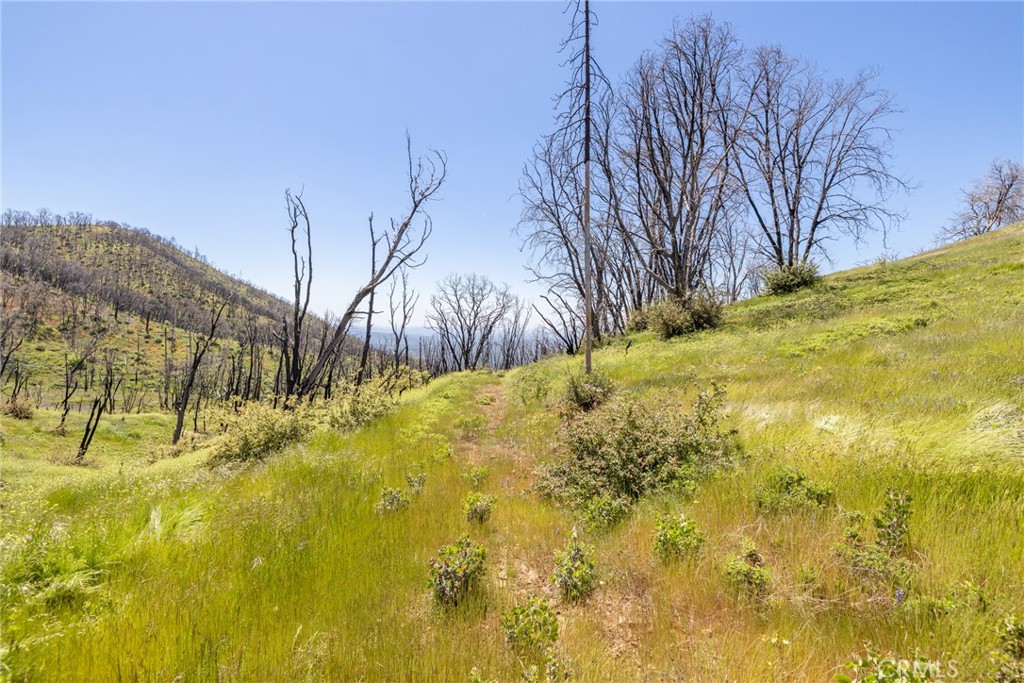 39 Acres Buckingham Mountain Road Property Photo 66