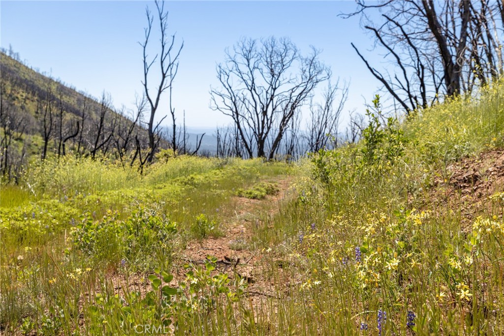 39 Acres Buckingham Mountain Road Property Photo 67