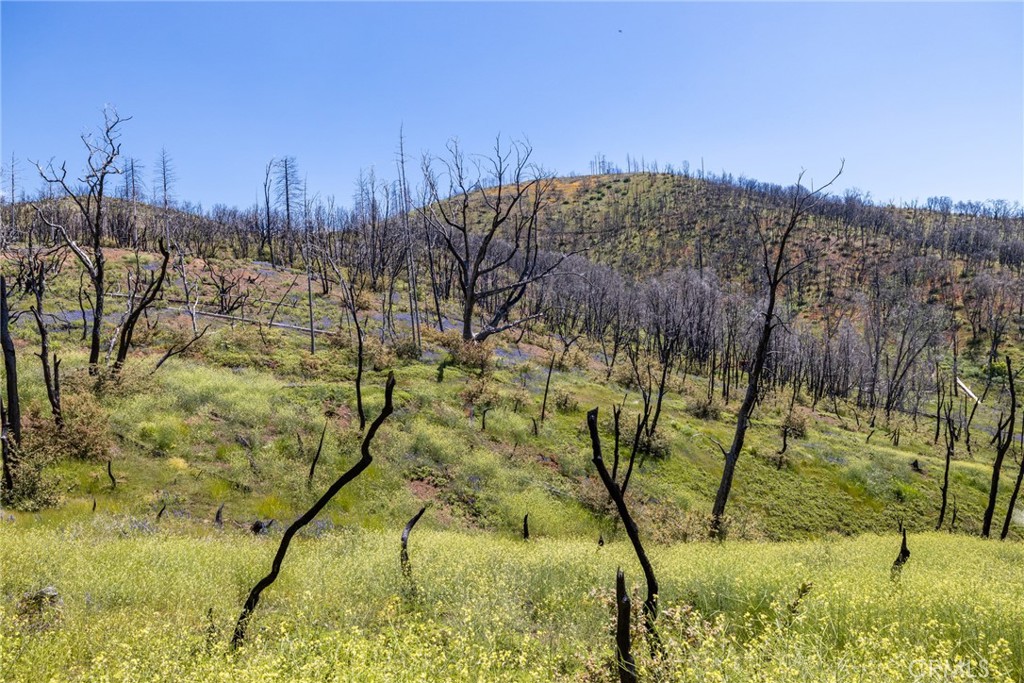 39 Acres Buckingham Mountain Road Property Photo 68