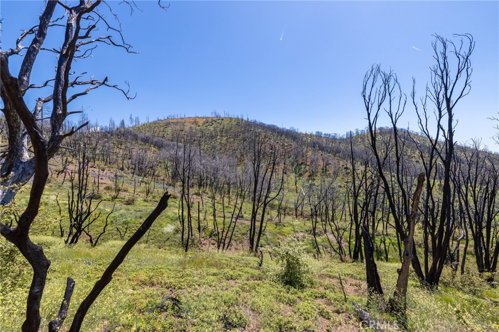 39 Acres Buckingham Mountain Road Property Photo 69