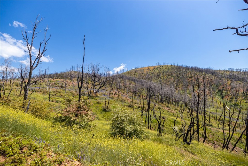 39 Acres Buckingham Mountain Road Property Photo 71
