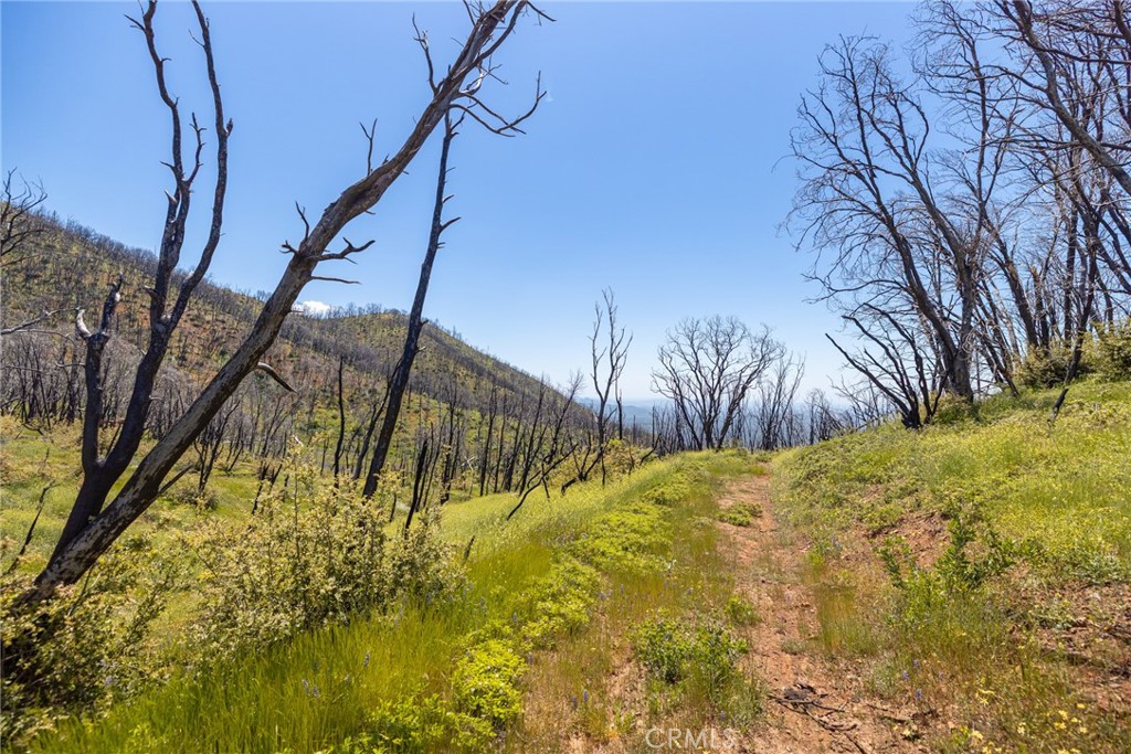 39 Acres Buckingham Mountain Road Property Photo 72