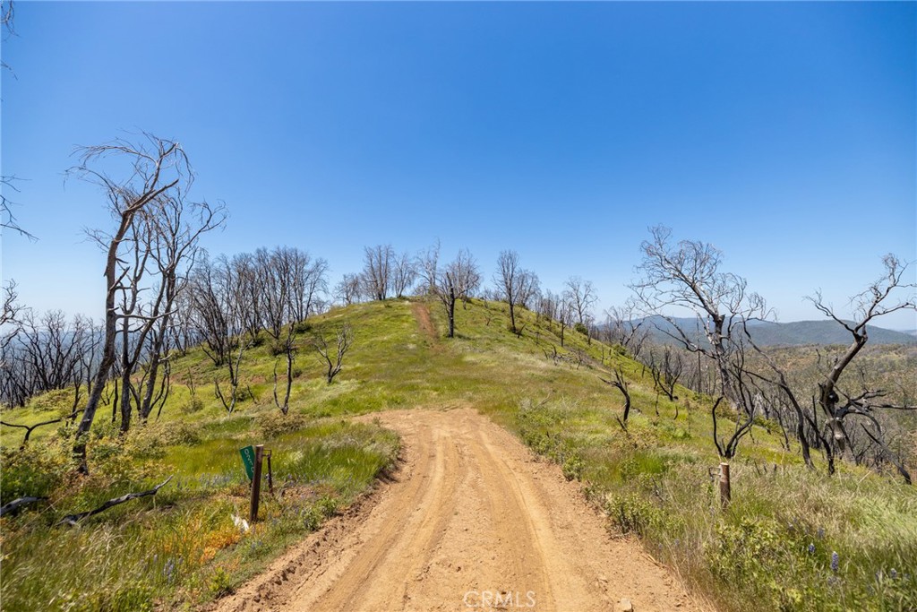 39 Acres Buckingham Mountain Road Property Photo 73