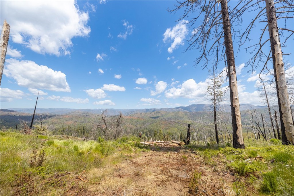 39 Acres Buckingham Mountain Road Property Photo 74