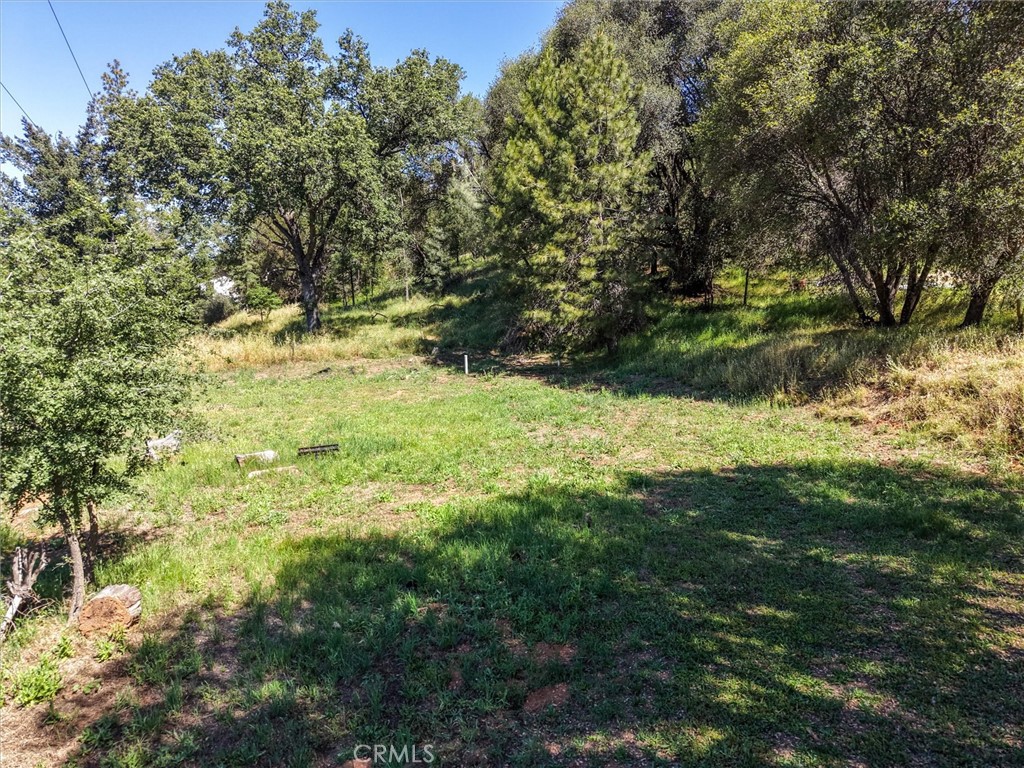 6576 Highway 140 Property Photo 53