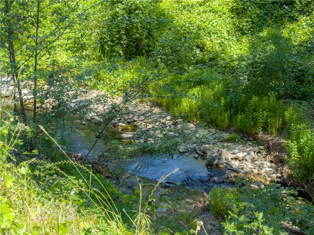 10 Miller Road Property Photo 8