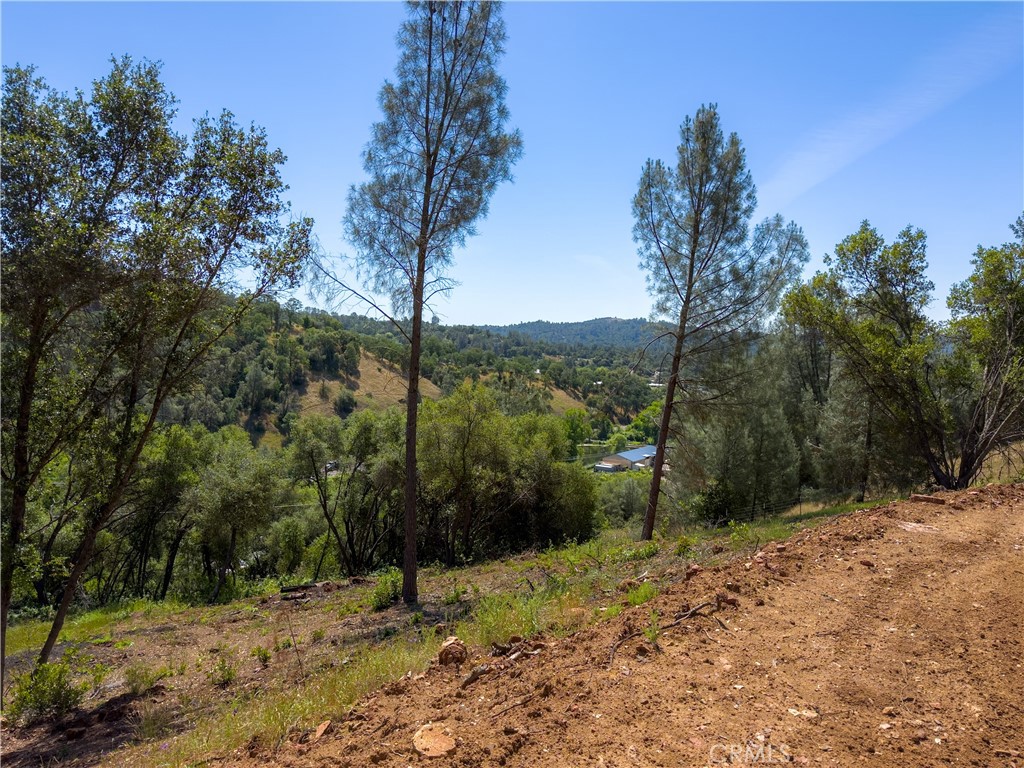 10 Miller Road Property Photo 30