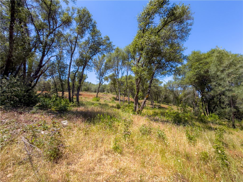 10 Miller Road Property Photo 33