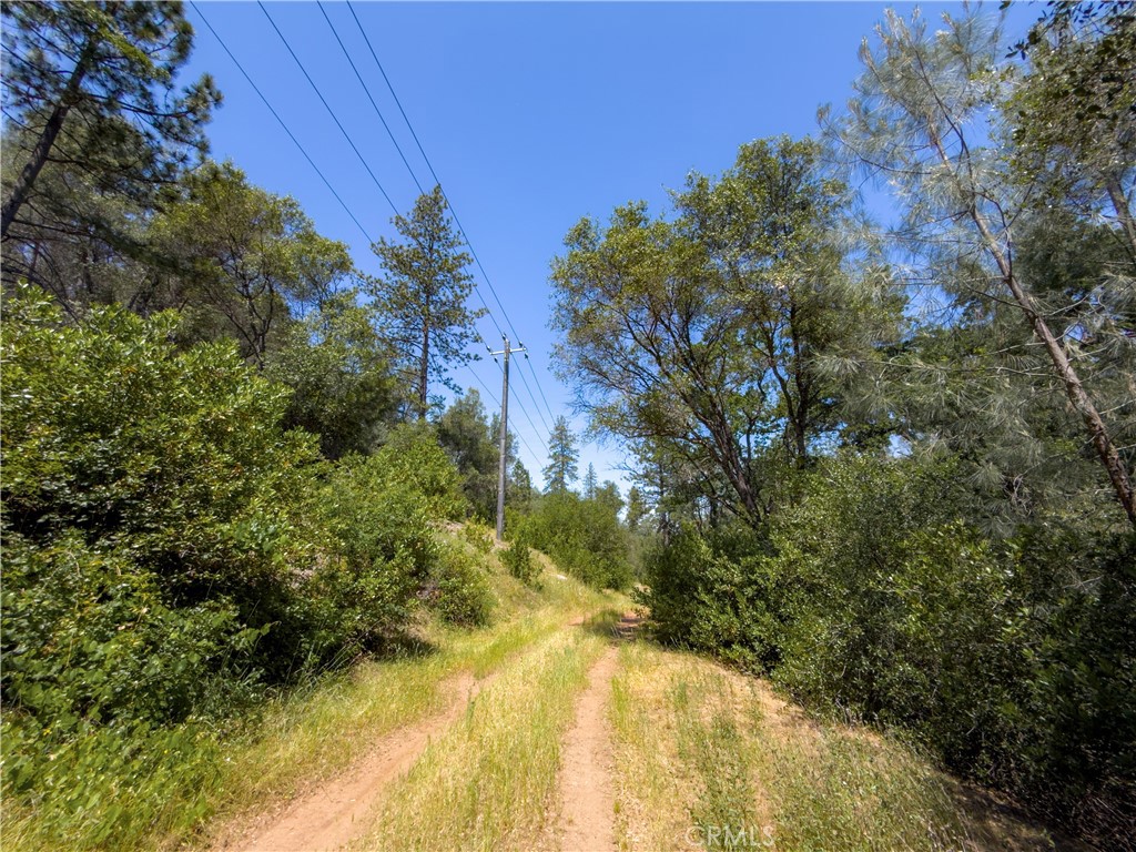 10 Miller Road Property Photo 34