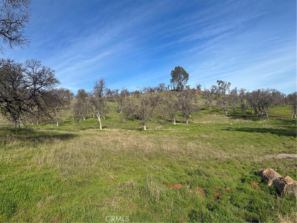 3228 Wild Rose Court Property Photo 1