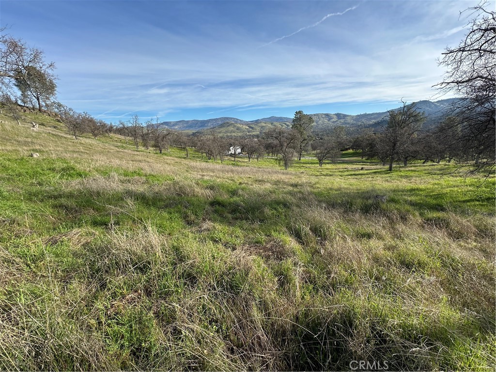 3228 Wild Rose Court Property Photo 3