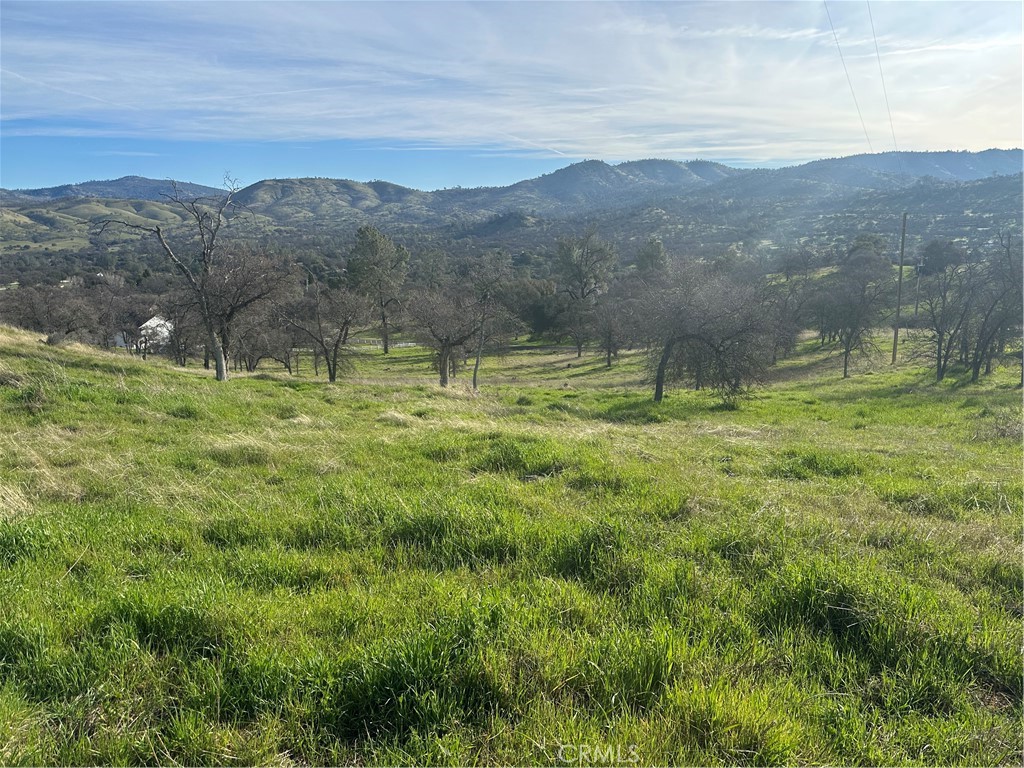 3228 Wild Rose Court Property Photo 4