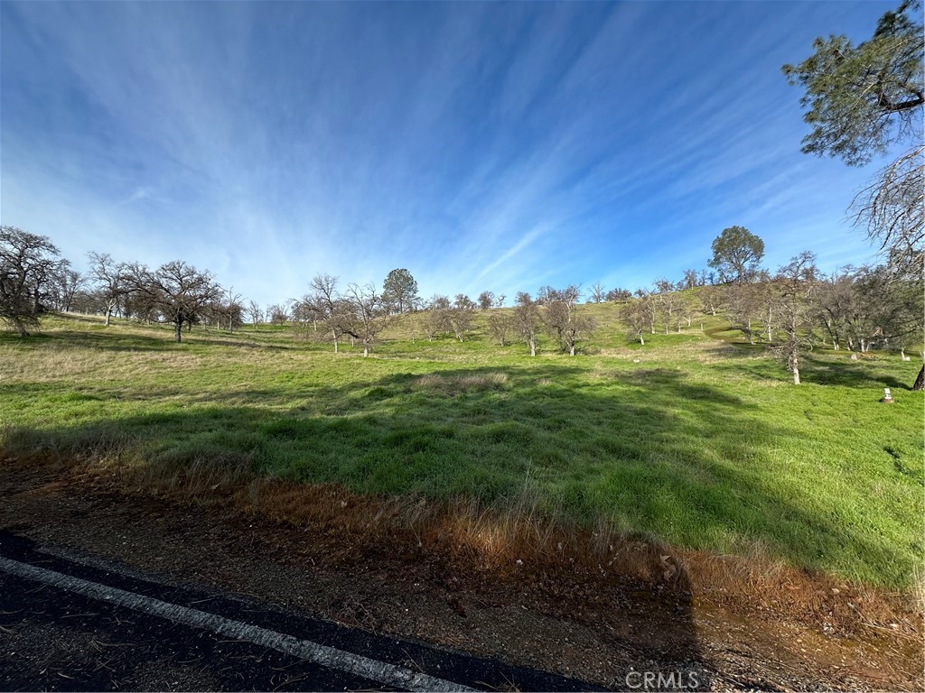 3228 Wild Rose Court Property Photo 8