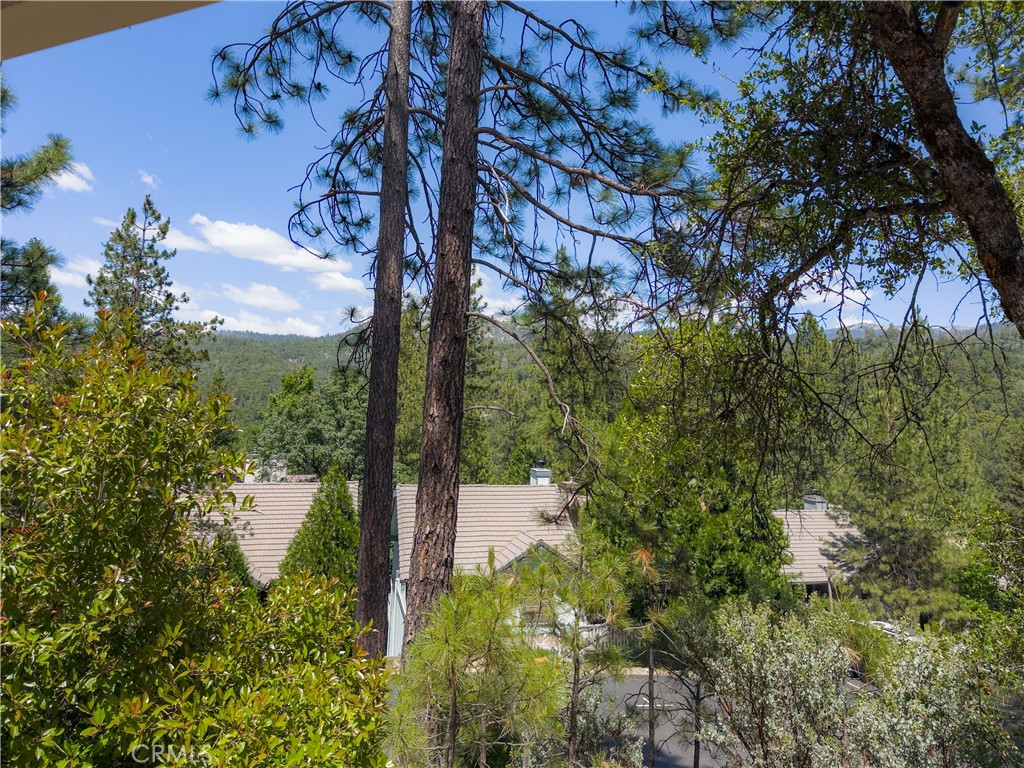 50824 Smoke Tree Trail Property Photo 32