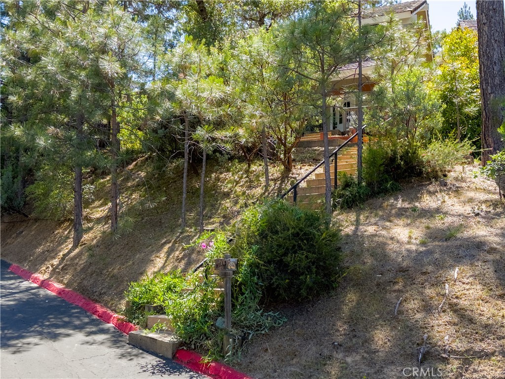 50824 Smoke Tree Trail Property Photo 33