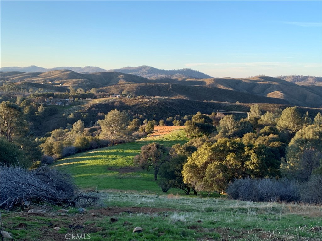 1532 -acres Cya Road Property Photo 1