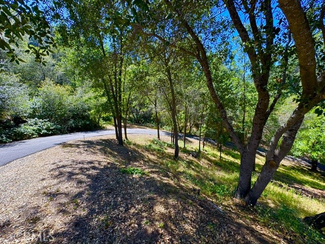 4973 State Highway 140 Property Photo 29