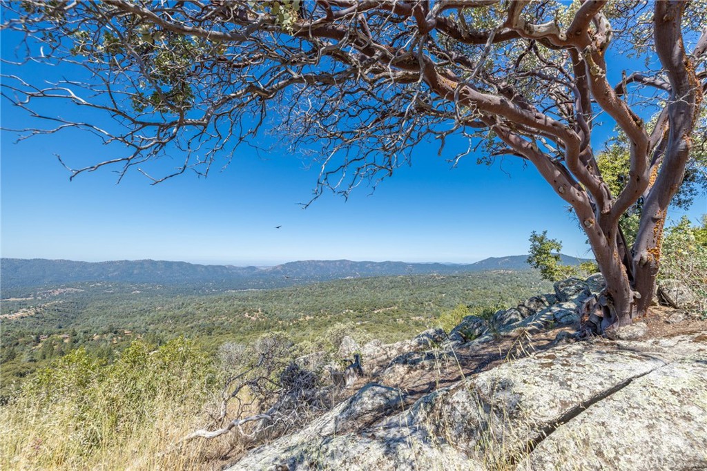 49 Acres Old Yosemite Road Property Photo 1