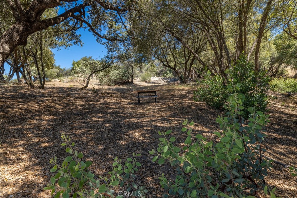 49 Acres Old Yosemite Road Property Photo 3