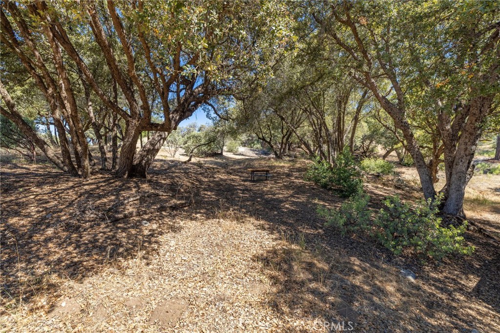 49 Acres Old Yosemite Road Property Photo 4