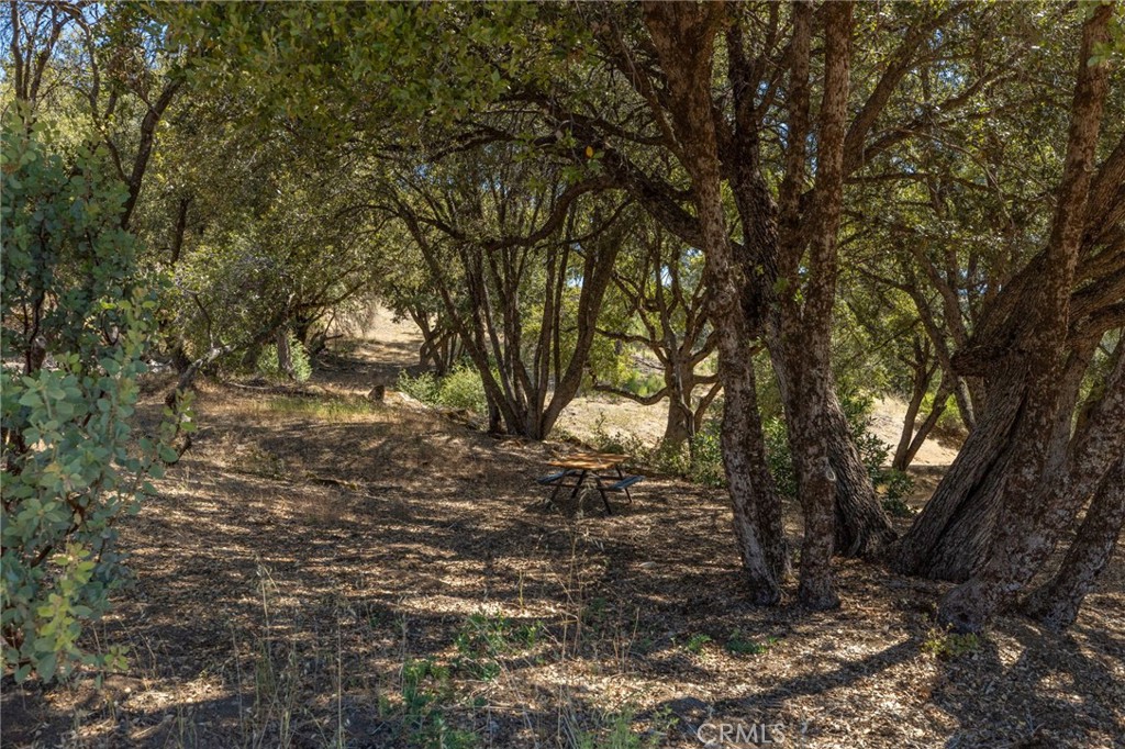 49 Acres Old Yosemite Road Property Photo 9
