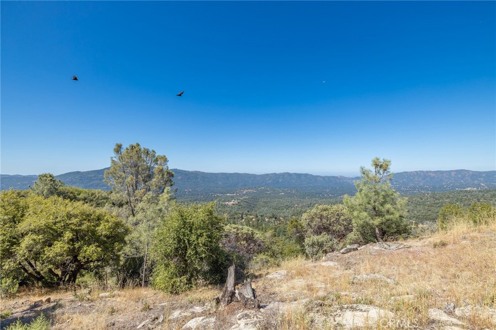 49 Acres Old Yosemite Road Property Photo 11