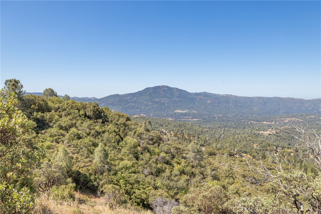 49 Acres Old Yosemite Road Property Photo 18